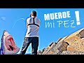 ⚠️ UN GRAN PEZ INTENTA LLEVARSE MI PEZ de UN BOCADO 😱 SPINNING desde ESPIGÓN