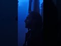 اسمعو المقطع للاخر رح يعجبكو تعليقاتكم حبايبنا اغاني  الهدمي