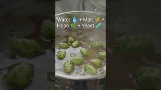 The dark truth Of making beer..