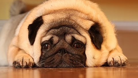 MY FIRST BO3 TRICKSHOT!!