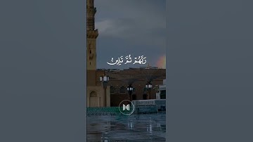 (أفمن شرح الله صدره للإسلام) -  سورة الزمر- ماهر المعيقلي - تلاوة مريحة وهادئة.