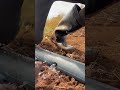Setting drip irrigation system #short #shorts #trendin