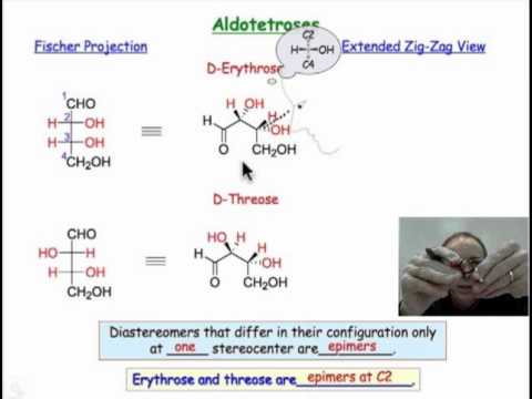 Tetroses, Pentoses, and Hexoses