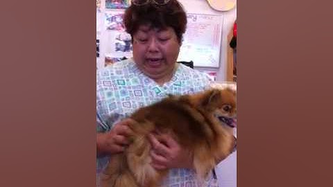 Cocojor Minicle micro bubble