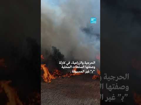 تركيا تقدم مساعدات لإخماد حرائق غابات في سوريا