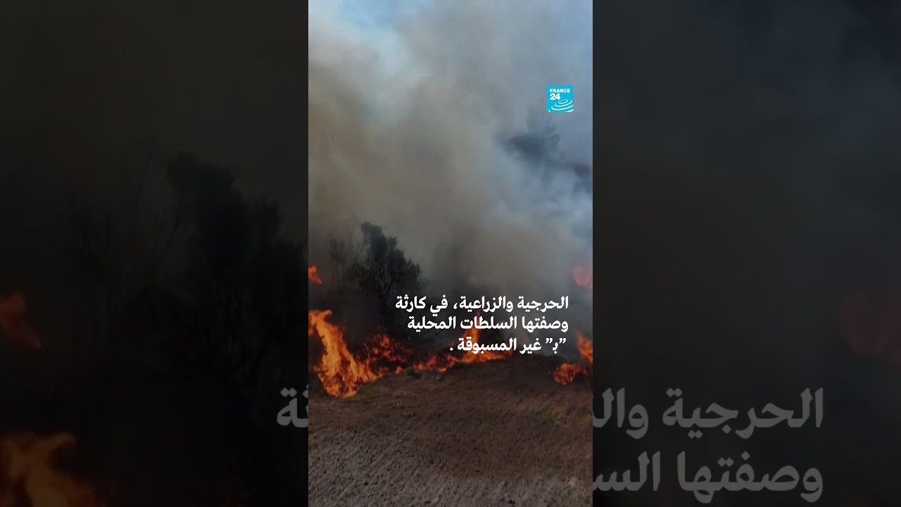 تركيا تقدم مساعدات لإخماد حرائق غابات في سوريا