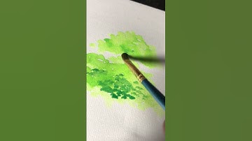 Cách VẼ CÁI CÂY bằng MÀU NƯỚC #shorts