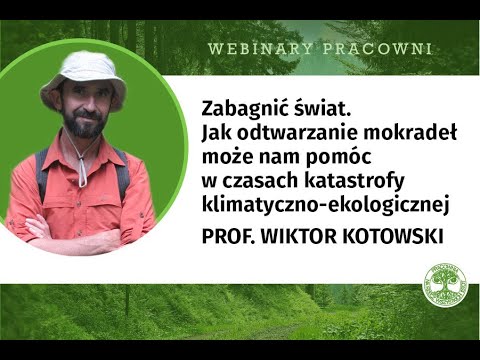 Zabagnić świat. Jak odtwarzanie mokradeł może nam pomóc w czasach katastrofy klimatyczno-ekologiczne