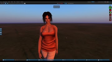 InWorldz Tutorials - Preferences