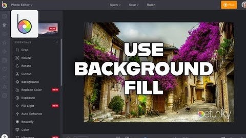How to Use Background Fill in Befunky 2025?