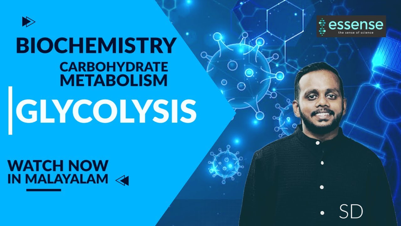Glycolysis in Malayalam Biochemistry Carbohydrate Metabolism YouTube