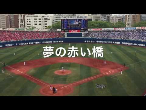 広島東洋カープ　#51 鈴木誠也 応援歌（歌詞付き）