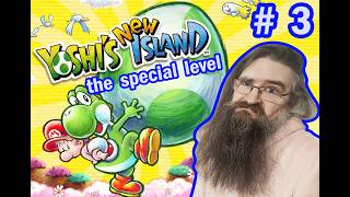 These Special Levels Are Something Else Aren't They [YOSHI'S NEW