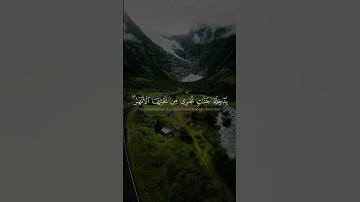 ليس على الاعمى حرج || #ياسر_الدوسري #قران #سورة_الفتح