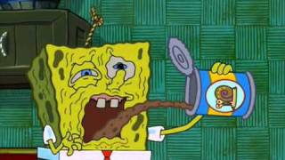 The Most Important Meal Of The Day