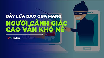 Bẫy lừa đảo qua mạng: Người cảnh giác cao vẫn khó né | VTV Index