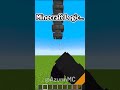 weird minecraft Logic