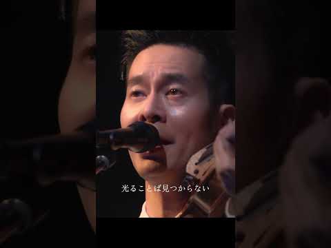 【期間限定公開】ハンバート ハンバート "虎" （ツアー2025「寝ても覚めても」at 大阪・オリックス劇場）🎄🎁🌟 #ハンバートハンバート#ハンバート入門 #ばけばけ