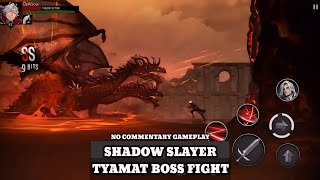Shadow Slayer - Tyamat Cataclysm Overlord Boss Fight [No Commentary Gameplay] screenshot 2