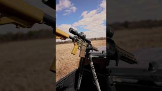 PSA SABRE 308 With A Giant CVLife Scope