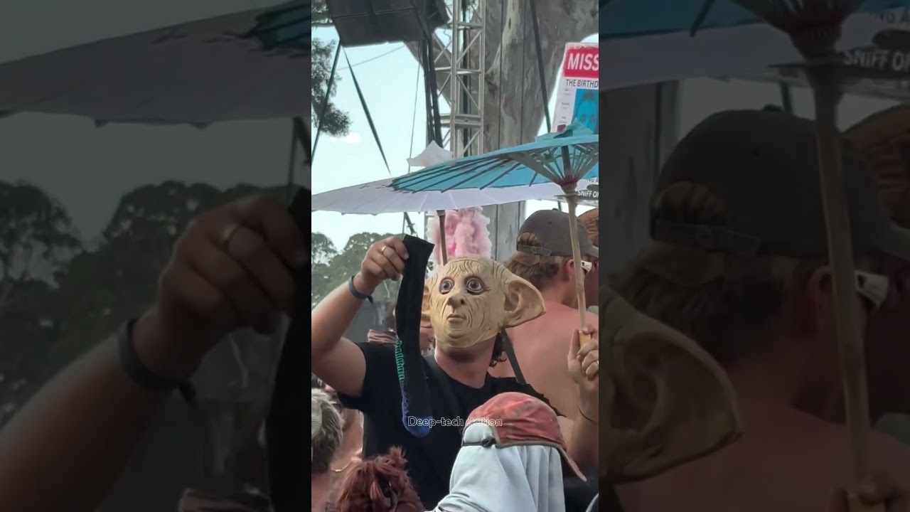 Dobby is finnaly free