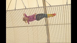 Cool Trick:  Folder Redirection