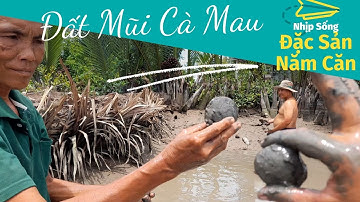 Về Năm Căn ăn toàn đặc sản, Cà Mau sông nước | Nhịp Sống