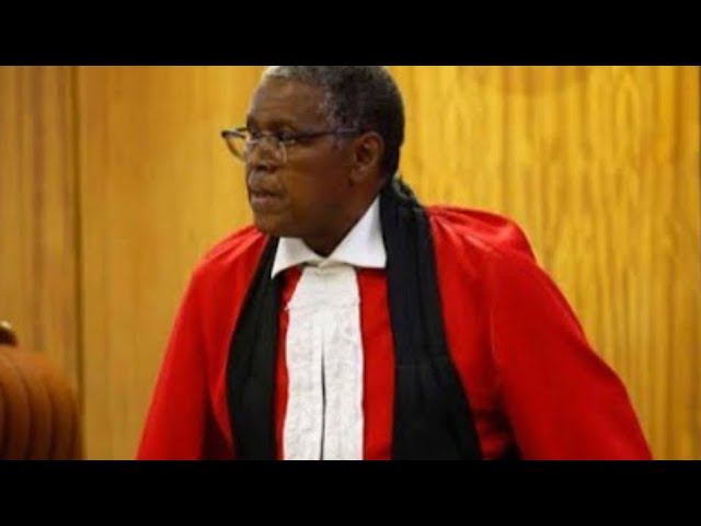 Adv Mngomezulu Calls for Impartiality in #SenzoMeyiwaTrial, threatens to Invoke Section 317(1)