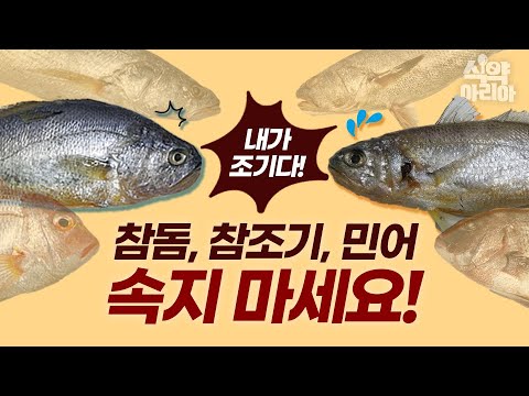 [기자단] <strong>차례상</strong> 생선, 유사생선을 주의하세요! (feat.참돔, 참조기, 민어)