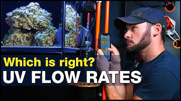 How important is the RIGHT flow rate for a UV Sterilizer in reef tanks? | BRStv Investigates