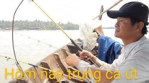 hôm nay trúng ổ cá út  .. mồi tép siêu nhạy trúng cá út siêu khủng. phong bến tre vlog..