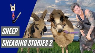 Sheep Shearing Stories 2