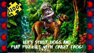 Crazy frog and  sloughi | Jigsaw puzzle