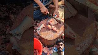 Amazing Big Shilvar Fish Cutting Skills In Gazipur Market Delhi #shortvideo #fish #rrrm