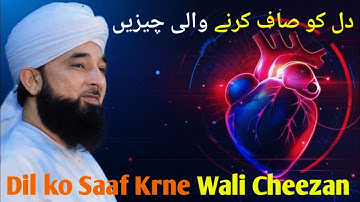 Dil Ko Saaf Krne Wali Cheezan || By Muhammad Raza Saqib Mustafai || New Bayan 2k25 