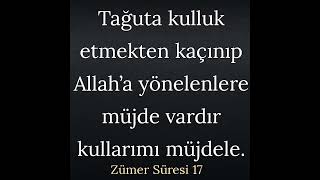 Sure Zümer Ayet 17 Resimi