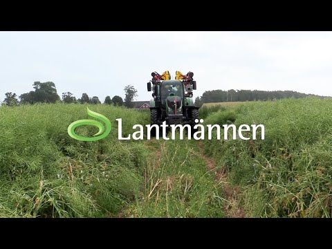 Video: Hur Full Skörd Och Felaktiga Marknader Sparar Fula Produkter - Handboken