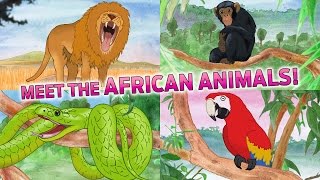 Learn African Animals : Kids Picture Book App on iPhone - Fun African Wildlife Puzzle screenshot 3