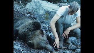 2 Women Died During This Bear Attack At Glacier National Park