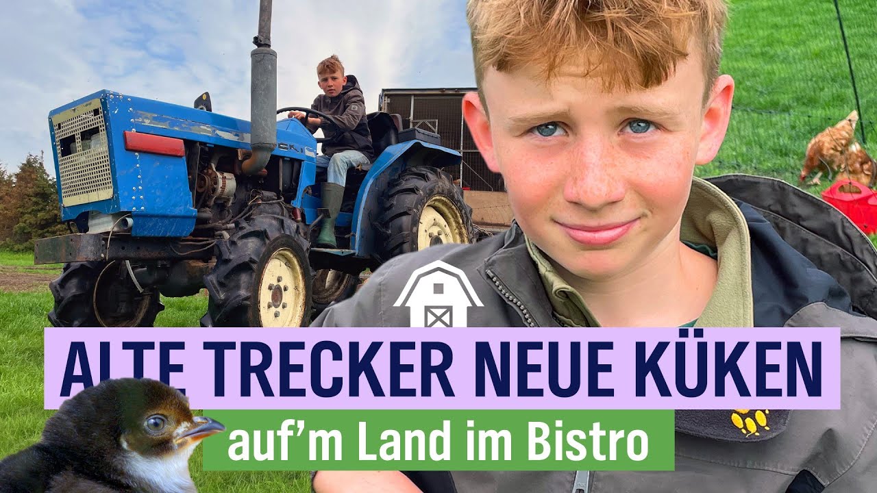 Mehr Ordnung für die Baustelle! - Sanierung 300 Jahre altes Fachwerkhaus