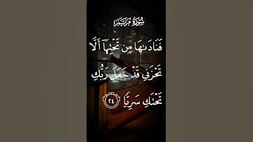 سورة مريم فنادها من تحتها ألا تحزني قد جعل ربك تحتك سريا الاية ٢٤ #لايك