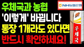 7월부터 우체국·농협 통장 이렇게 바뀝니다! 안 보면 손해입니다! 7월부터 달라지는 금융 제도 총정리