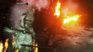 For Honor - Reverse execution Funny Lawbringer