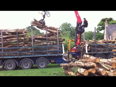 http://www.traditional-logs.co.uk
