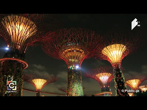 #Cსტუდია თანამედროვე არქიტექტურული ობიექტები - ანა აბაკელის სიუჟეტი