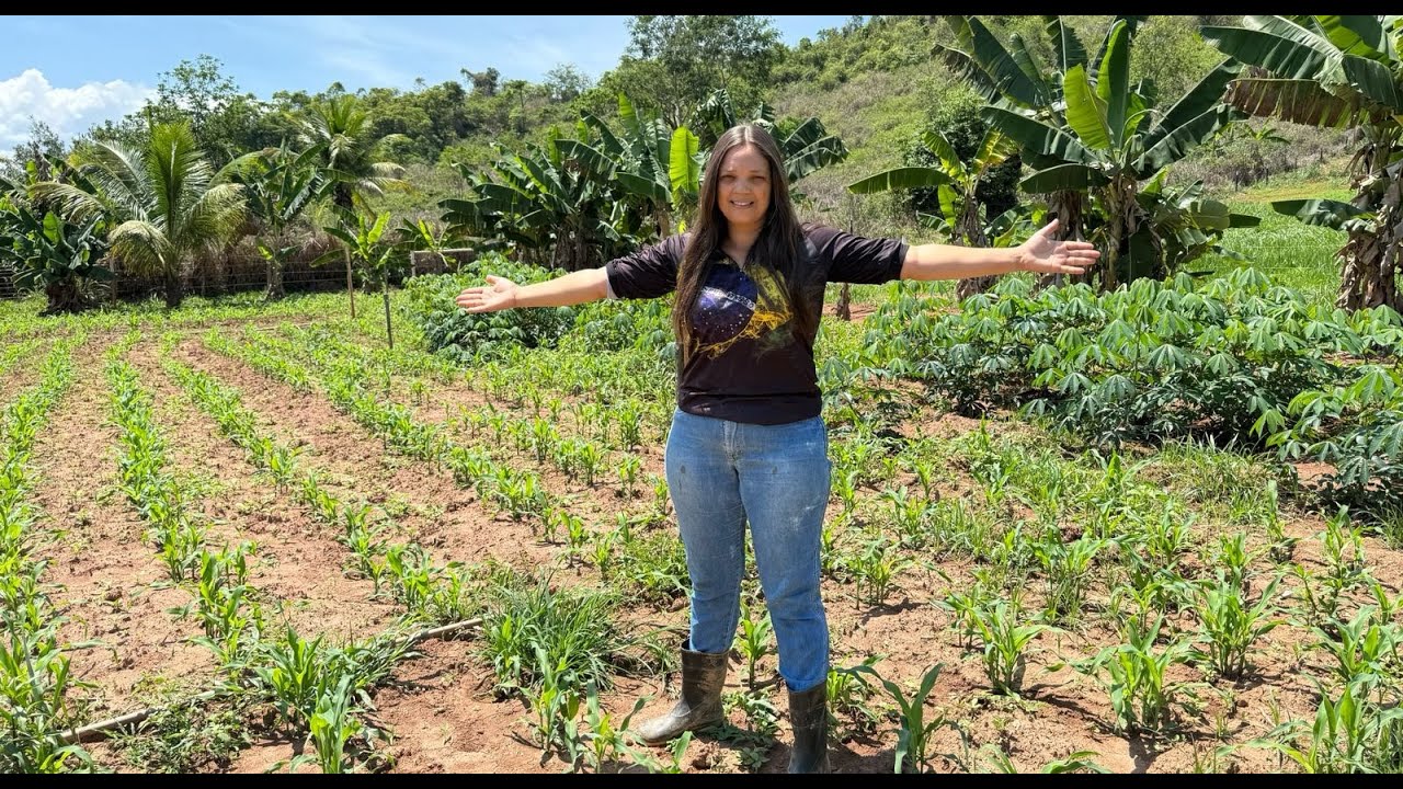 Você já viu uma roça que muda tão rápido assim? 🌽🌿