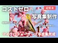 【超簡単】コストゼロで写真集制作 マイクロフォーサーズの写真集完成【カメラ副業】 【e-sell Photo Book】【Ryozan】