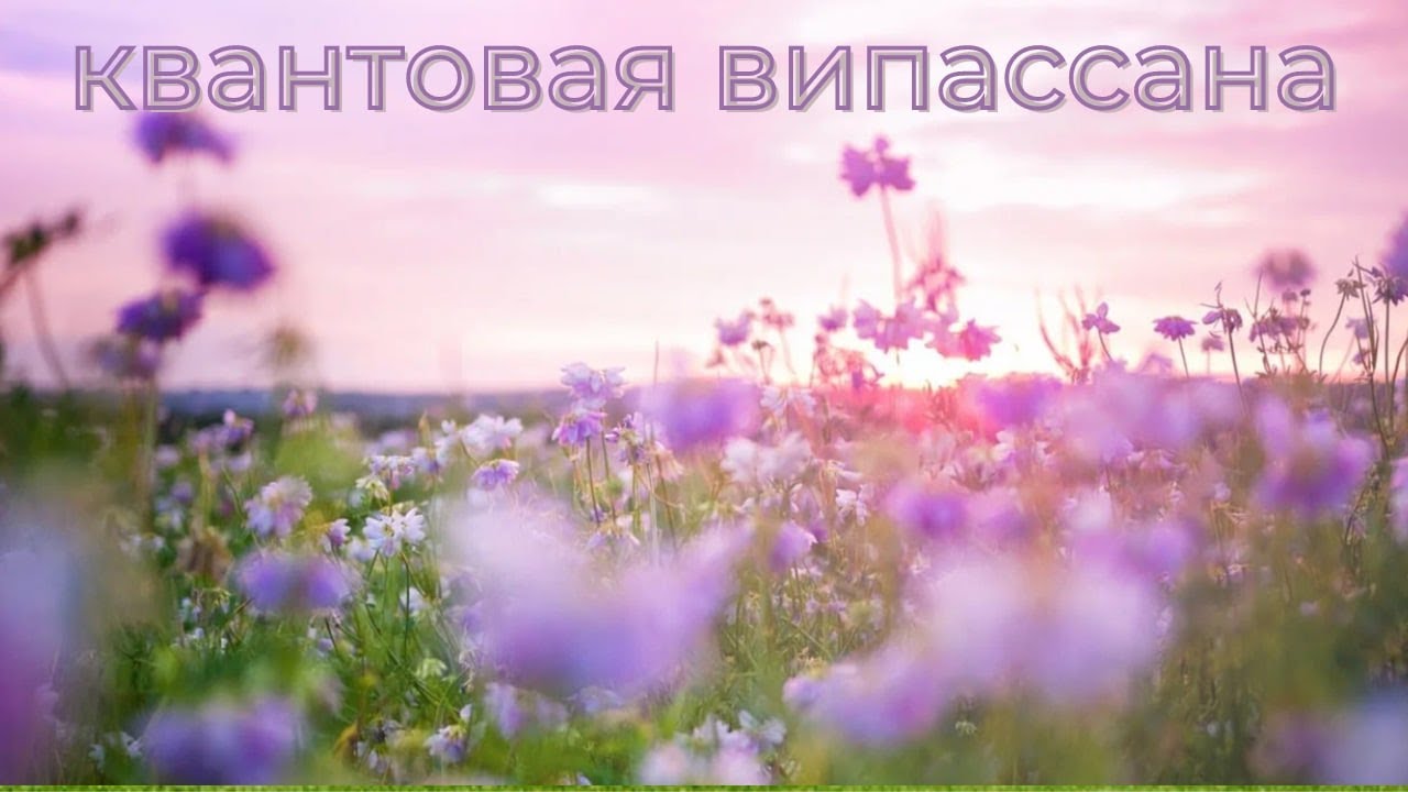 Квантовая ВИПАССАНА - что это? - YouTube