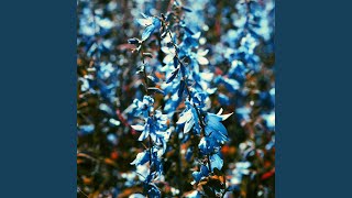 Download Lagu A Frozen Flower