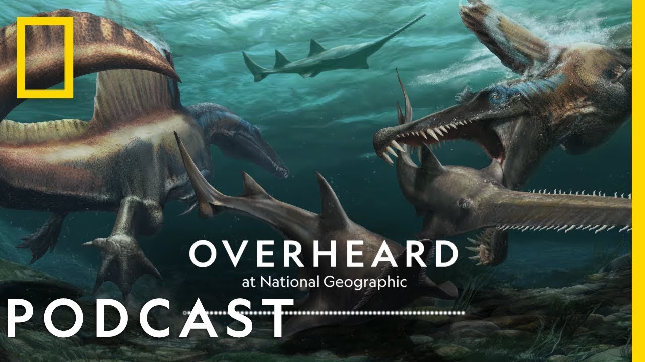 Documentary backdrop image for The Strange Tail of Spinosaurus (2020)